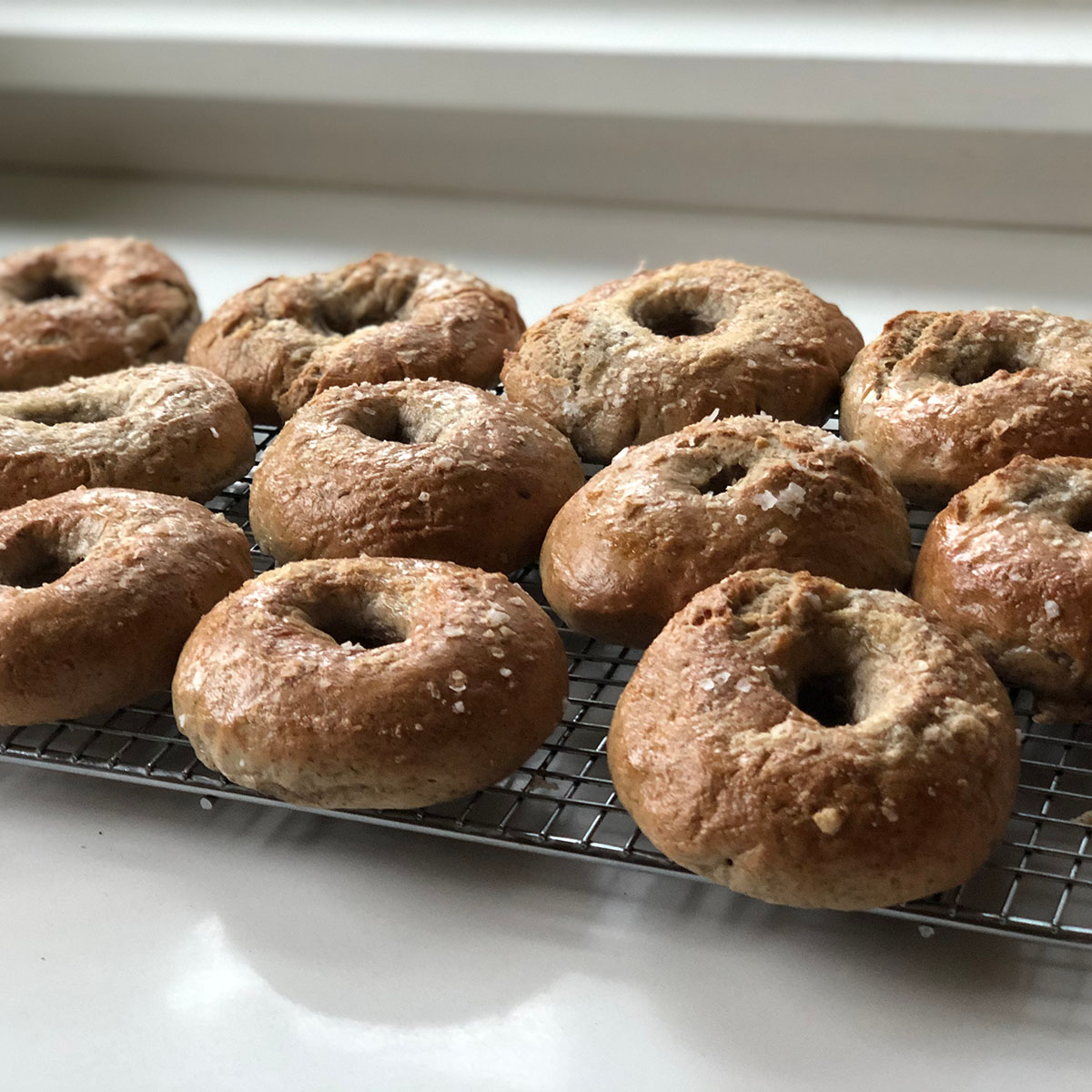 Paleo, Gluten-Free Plain Bagels
